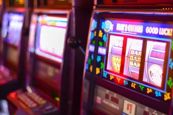 wd808 login Bingo